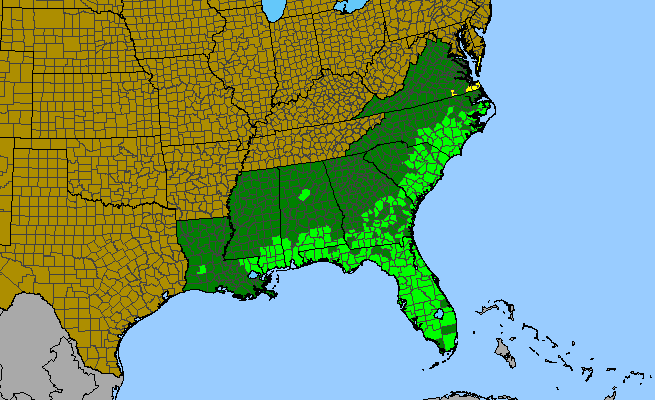 The range of Erigeron vernus